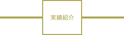 実績紹介